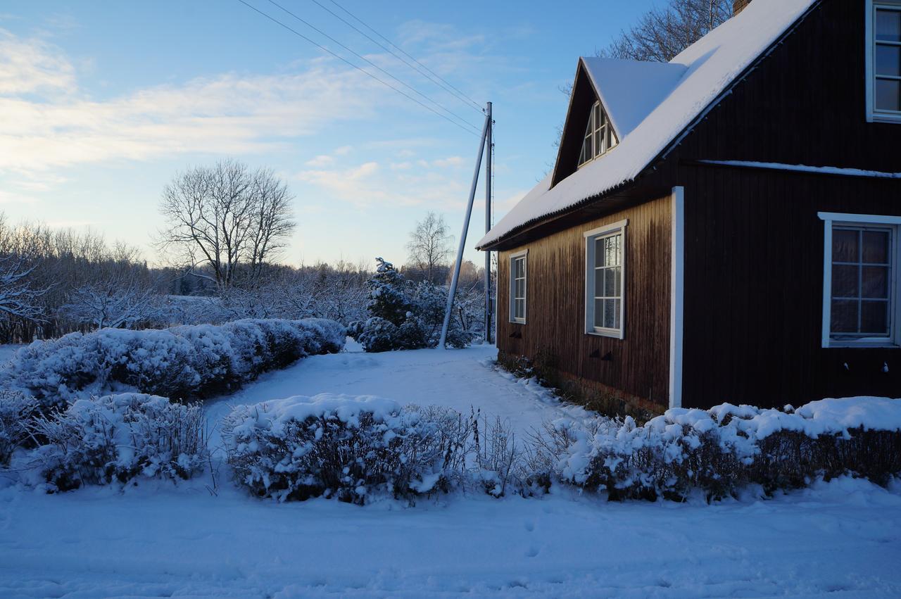 Jaerve Talu Puhkemaja Villa Otepää Buitenkant foto